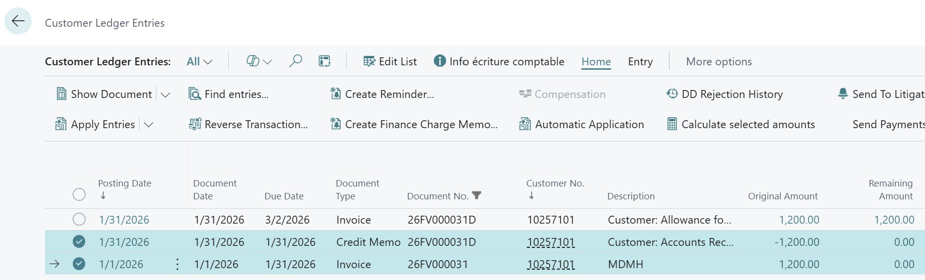 Customer Ledger Entries