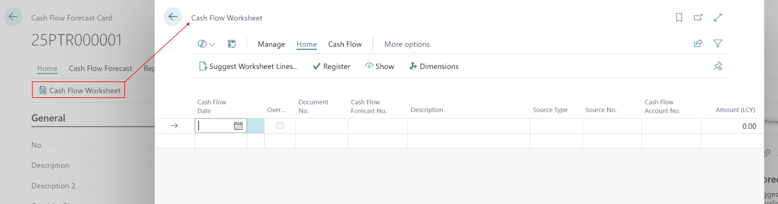 Access to the cash flow worksheet