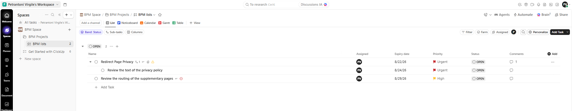 View of a task list for the BPM project