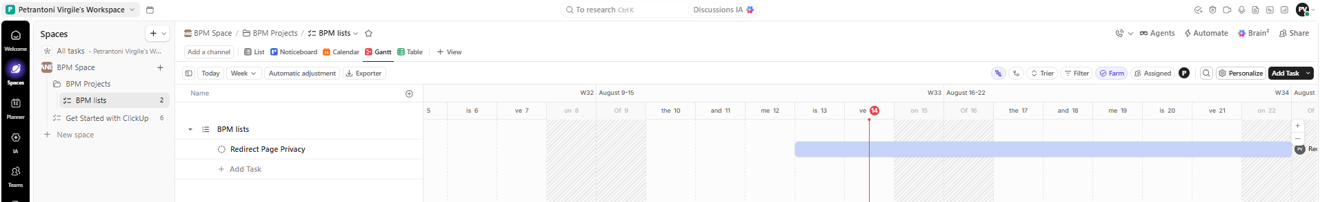 Gantt View